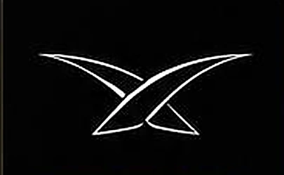 X PERFORMANCE